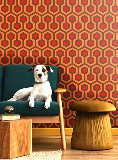 the-shining-inspired-carpet-wall-papers-and-a-dog--hicks-grand-hexagon