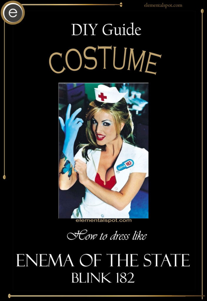 How to dress like Enema of the State-costume-DIY