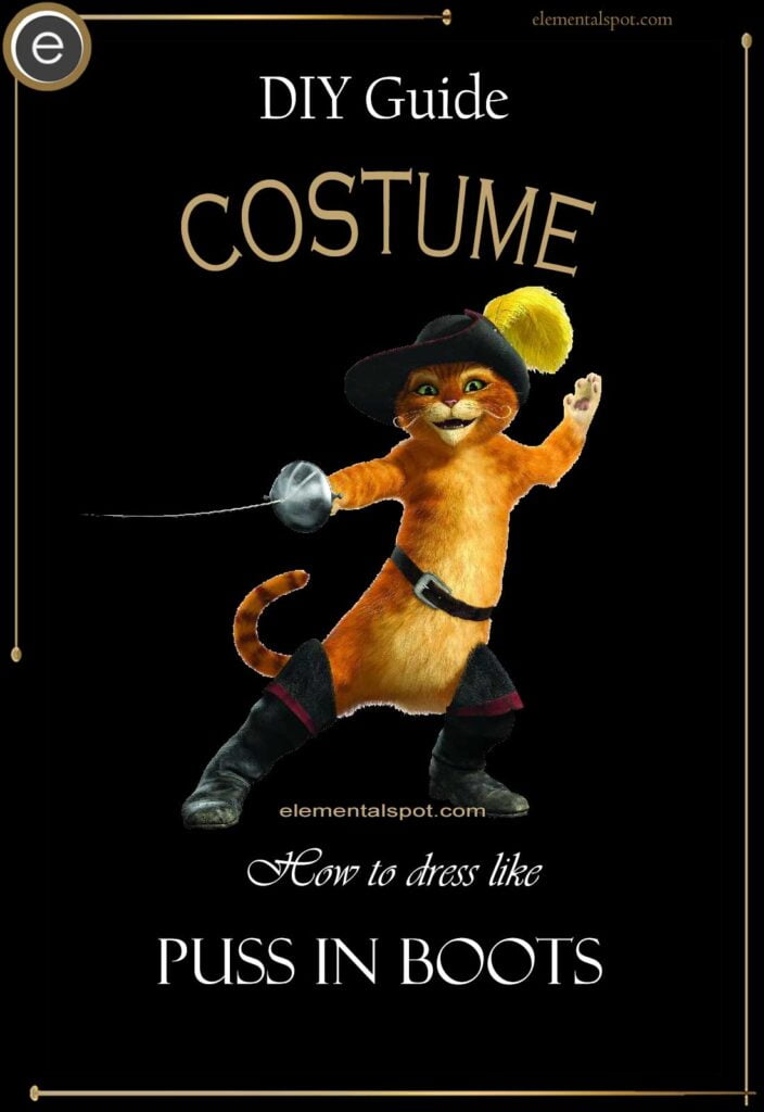 How to dress like Puss in Boots-Shrek 2costume-DIY