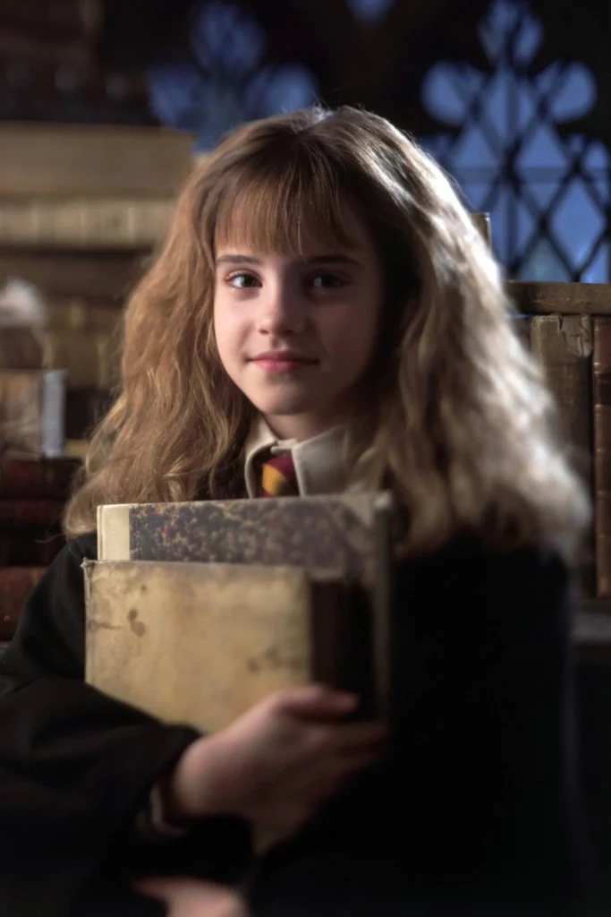 Dress up hotsell hermione granger