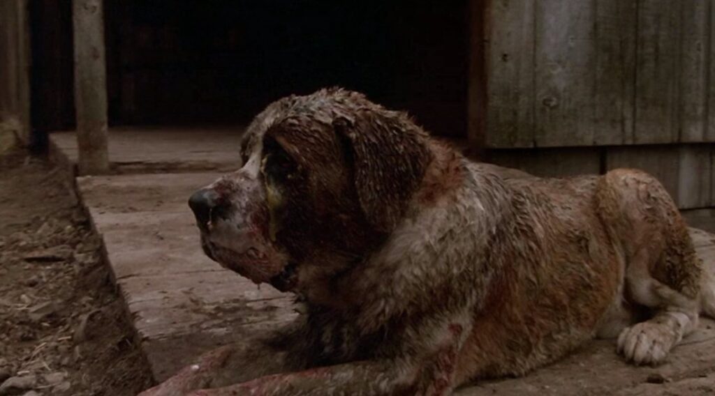 costume guide-Dress Up Like Cujo