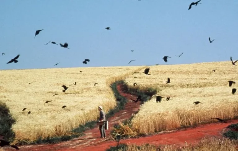 Crows Over Wheat Field by Vincent Van Gogh in Dreams of Akira Kurosawa