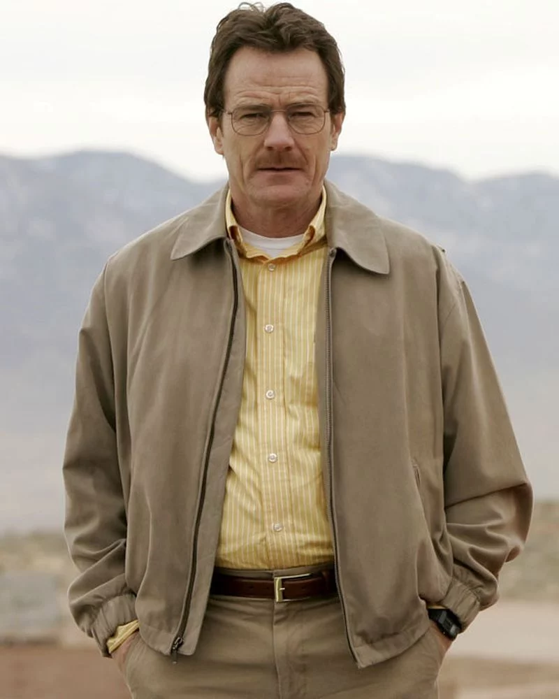 green emerald velvet dress Walter White Breaking Bad Gray Jacket Small / Gray