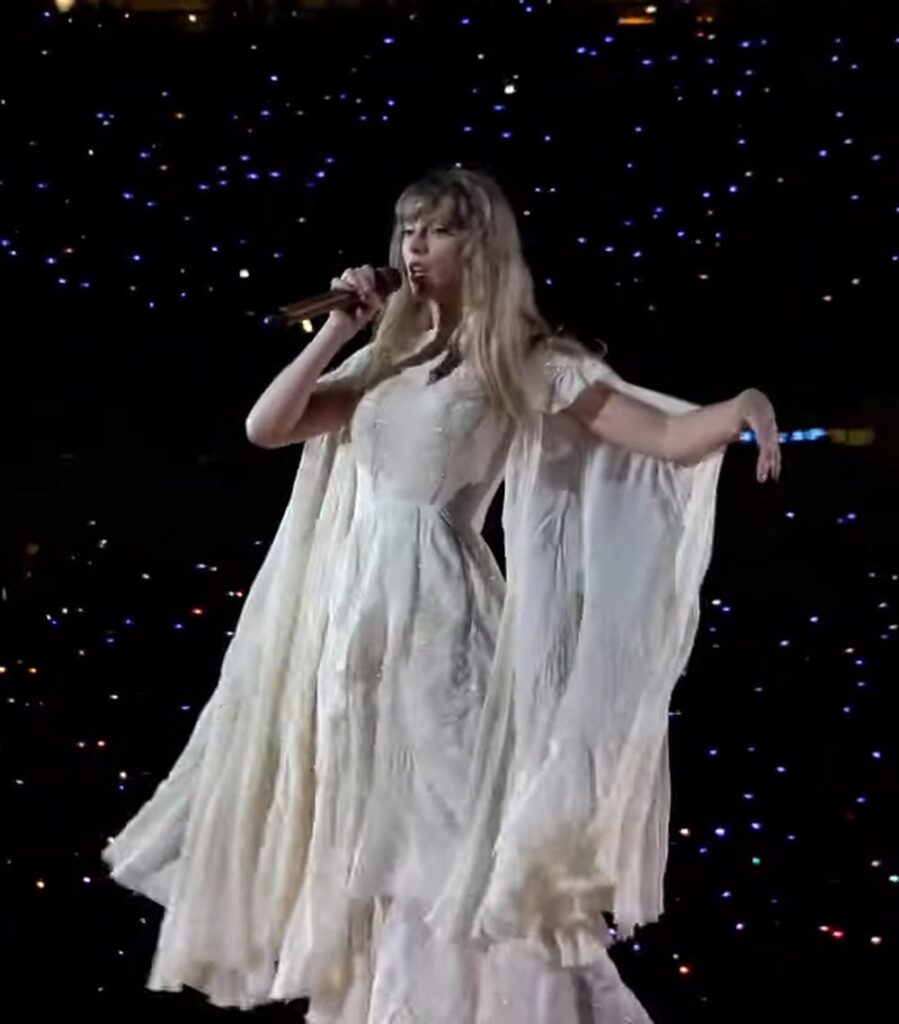 Taylor Swift Eras Tour Outfits - Alberta Ferretti and the Folklore Era