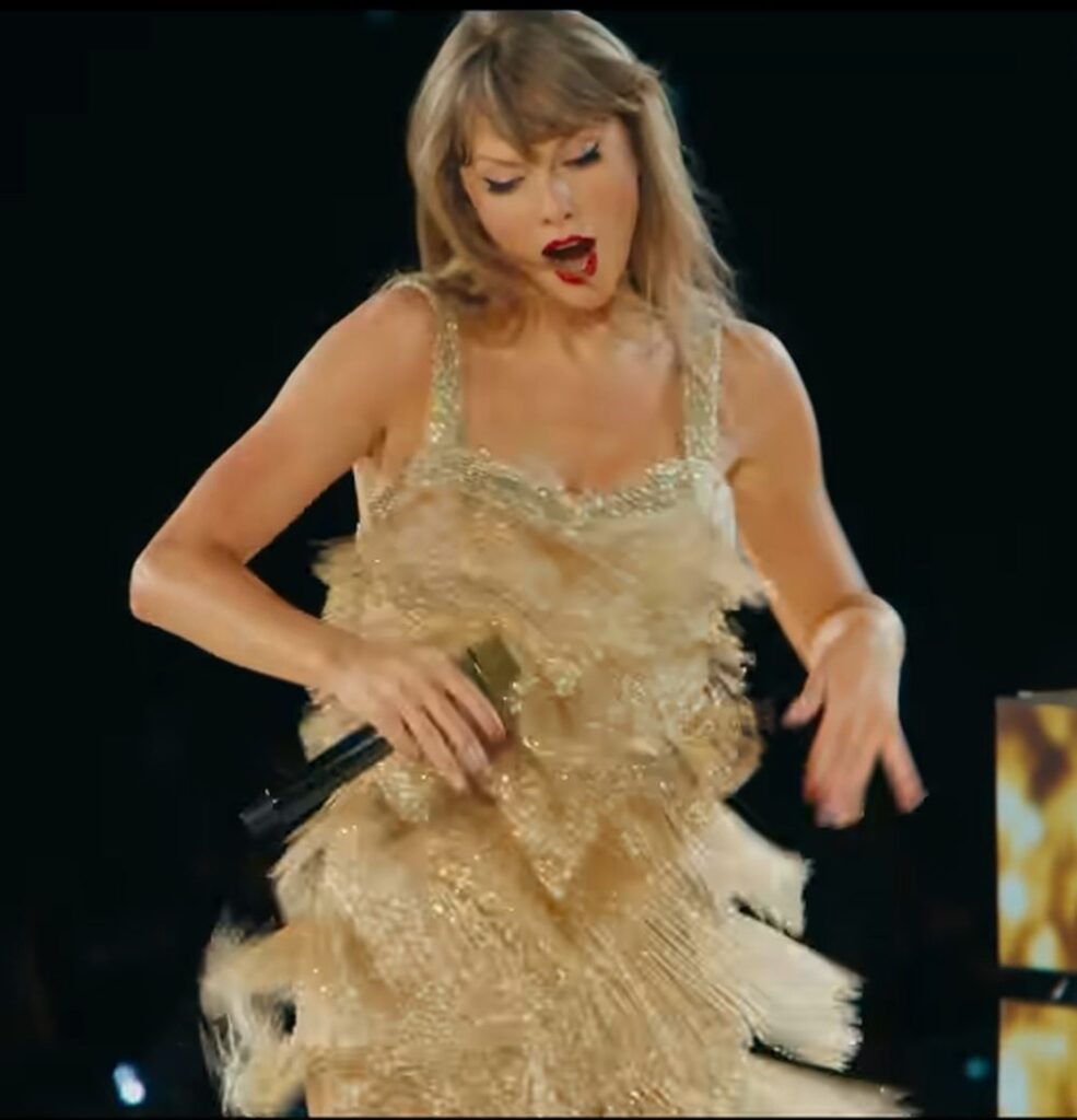 Tylor Swift Outfits Roberto Cavalli in the Fearless Era
