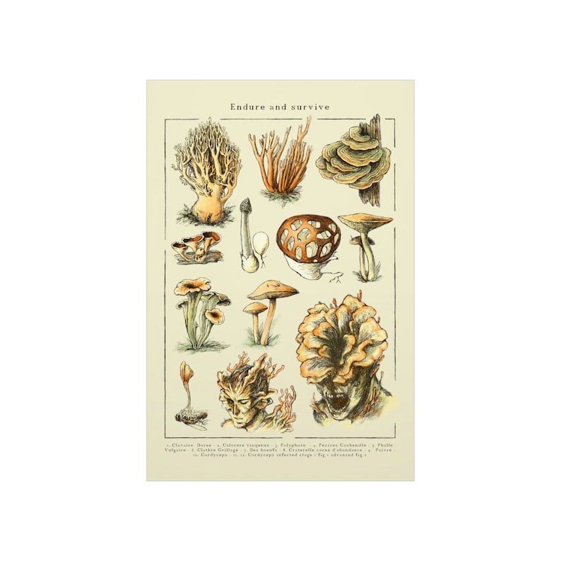 Last of Us Gift Ideas -Gift Idea for Joel and Ellie