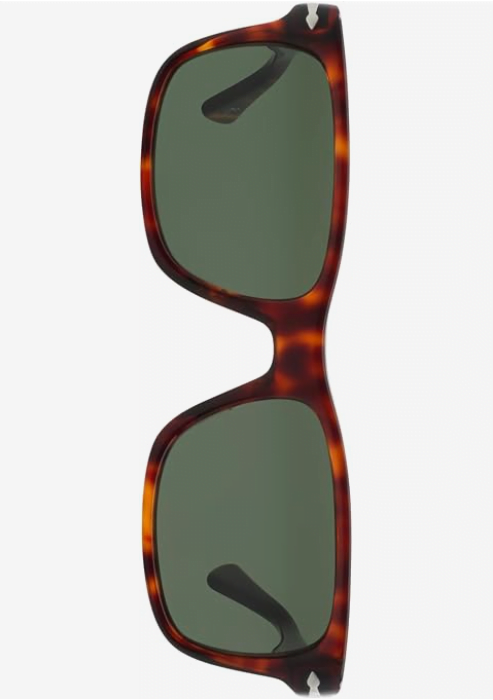 gift idea- Logan Roy's Persol Sunglasses