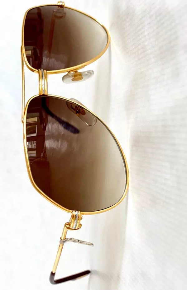 Freddy Hornman Aviator Sunglasses