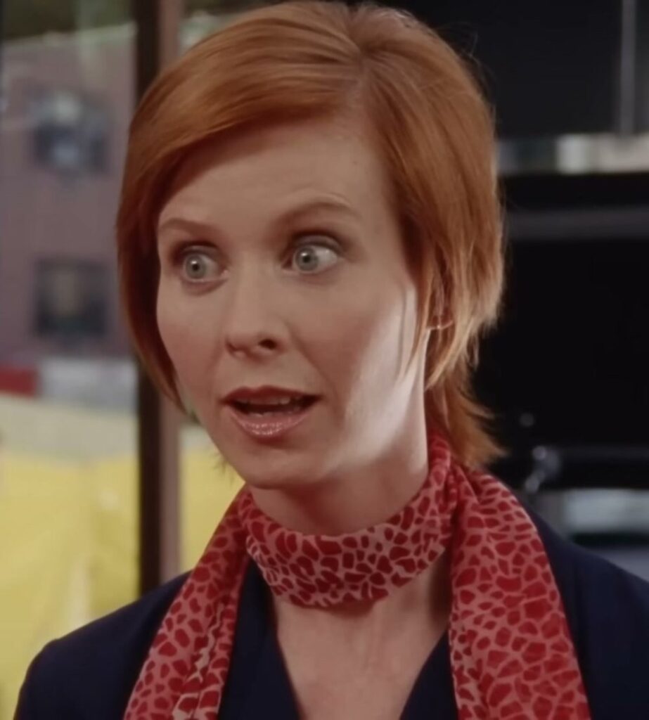 Miranda Hobbes Sex and the City costume look