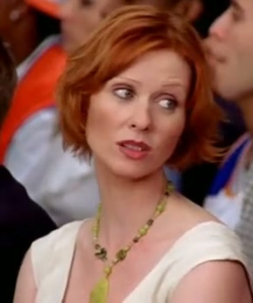Miranda Hobbes Sex and the City costume look