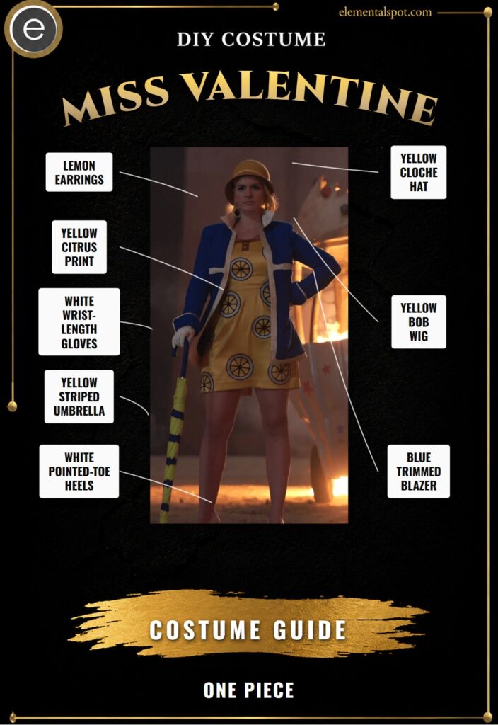 Miss Valentine ONE PIECE Costume