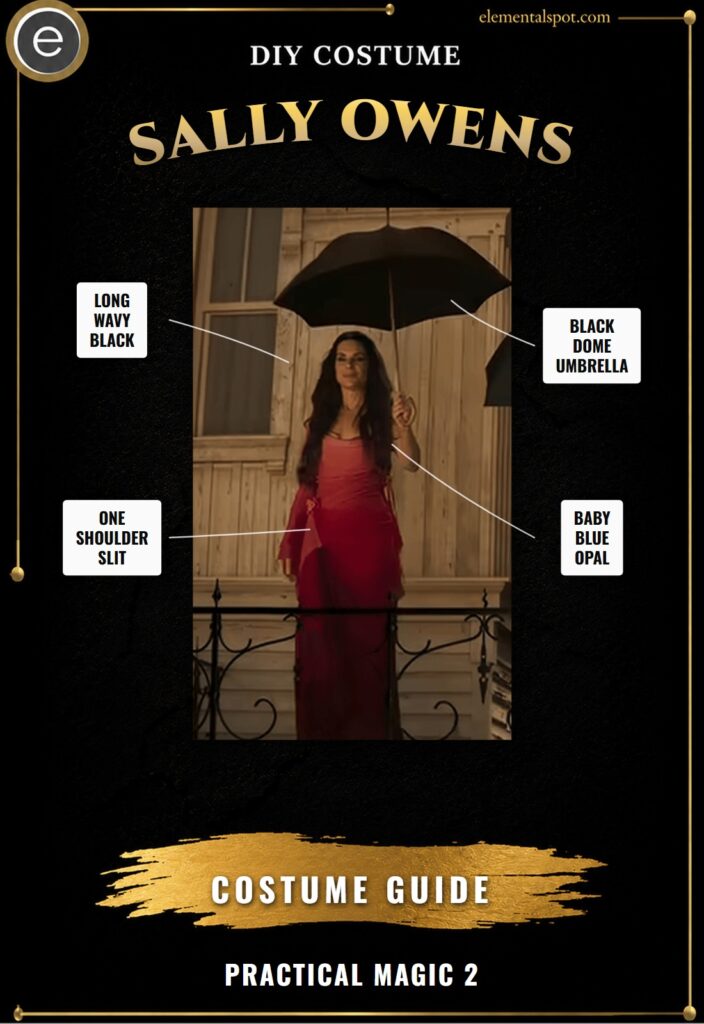 Sally Owens Practical Magic 2 Costume